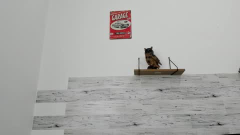 Jaycreedd online show from 03-03-26, 05:08