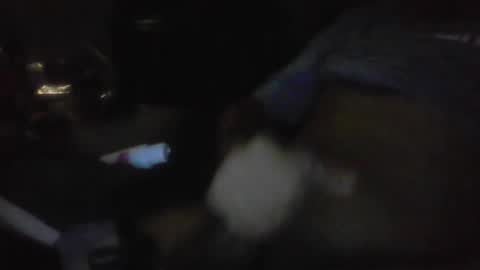 Snapshot of jaywulf22 chatting on 01-17-26, 05:23 jaywulf22 online show from 01-17-26, 05:23