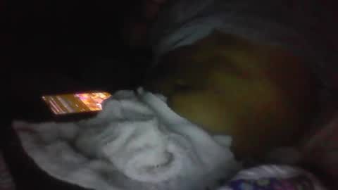 Snapshot of jaywulf22 chatting on 01-19-26, 05:11 jaywulf22 online show from 01-19-26, 05:11