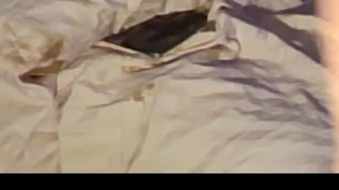 Snapshot of jennie_bttmcd chatting on 02-14-25, 12:36 Jennie bttmcd online show from 02-14-25, 12:36