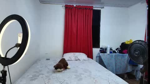 Snapshot of jesusliz chatting on 02-25-26, 06:01 jesusliz online show from 02-25-26, 06:01