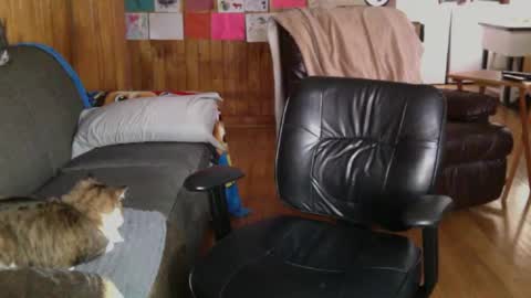 jettadude5 online show from 01-25-25, 06:02