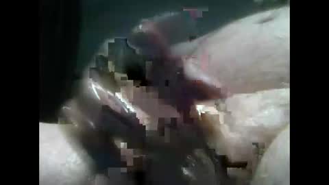 jimboluv488 online show from 12-18-24, 02:10