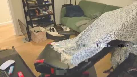 jimmygotya online show from 04-13-26, 02:00