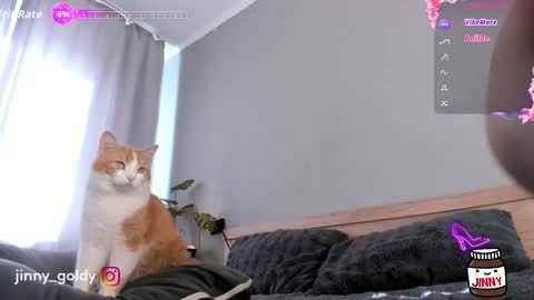 Snapshot of jinny_gold chatting on 02-15-26, 07:51 MY NEW INSTA jinny goldy online show from 02-15-26, 07:51