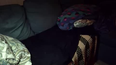 Snapshot of jjbeefy chatting on 05-10-26, 01:00 jjbeefy online show from 05-10-26, 01:00