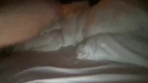 Snapshot of jjj456_456 chatting on 01-10-26, 01:46 agoodtime 920 online show from 01-10-26, 01:46