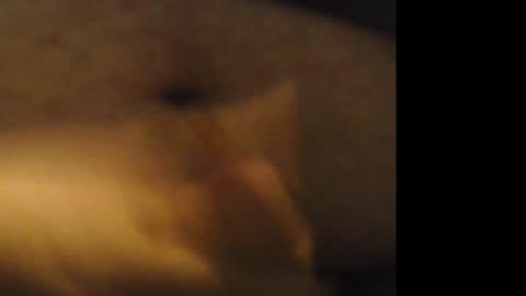 firejoepro2 online show from 02-21-26, 06:25