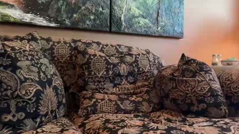 jlk7777 online show from 04-17-26, 03:15