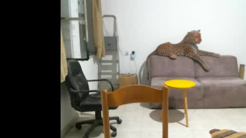 jlmbud online show from 10-11-25, 10:41