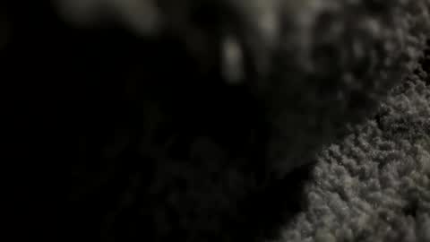 joekent795447 online show from 04-20-26, 04:04