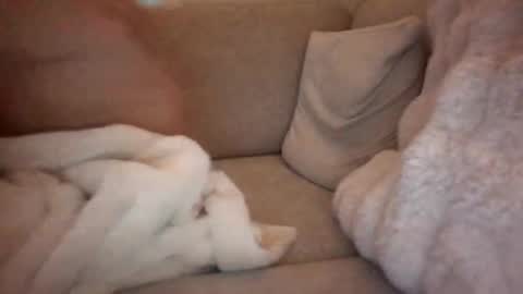 Snapshot of joeybanan chatting on 12-14-25, 08:09 joeybanan online show from 12-14-25, 08:09