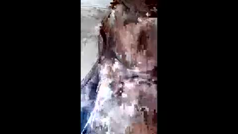 johan3084 online show from 04-09-26, 09:31