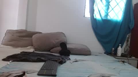 Snapshot of johan_kitten chatting on 05-03-26, 12:55 johan online show from 05-03-26, 12:55
