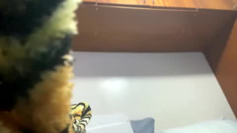 Snapshot of johnjow10 chatting on 02-08-25, 11:55 JOHN online show from 02-08-25, 11:55