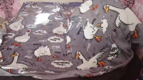 Johnny online show from 02-23-25, 06:39