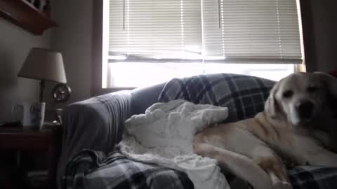 Snapshot of johstondude chatting on 11-05-25, 01:44 Johston online show from 11-05-25, 01:44