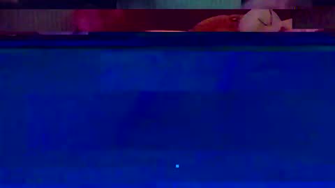 Snapshot of jooshi1981 chatting on 02-12-26, 05:13 jooshi1981 online show from 02-12-26, 05:13