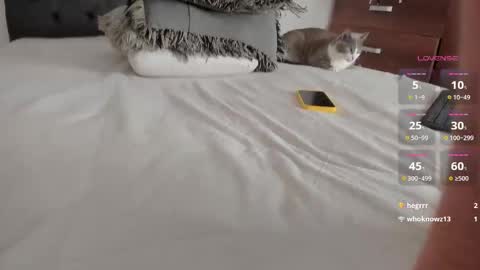 Will online show from 03-25-26, 11:44