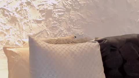 joselin online show from 07-06-26, 03:03