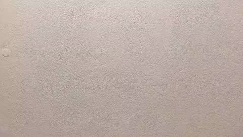 joseph palacios online show from 09-13-25, 06:51