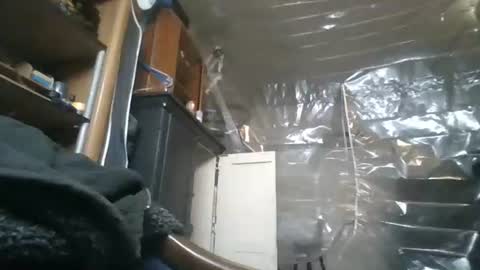 Snapshot of josephung1 chatting on 11-28-25, 05:32 sissy josphine online show from 11-28-25, 05:32