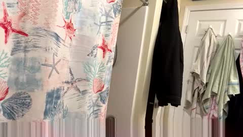 Snapshot of josephung1 chatting on 02-03-26, 03:37 sissy josphine online show from 02-03-26, 03:37