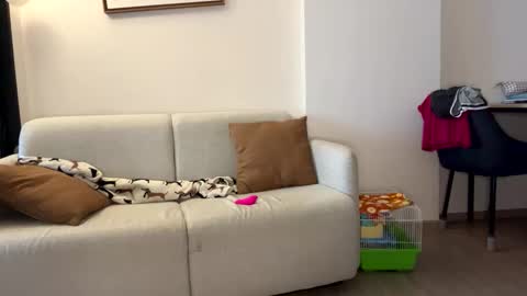 josh_xo online show from 11-30-25, 12:25