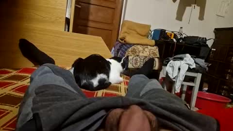 Snapshot of joyboy465468 chatting on 10-26-25, 04:02 joyboy465468 online show from 10-26-25, 04:02