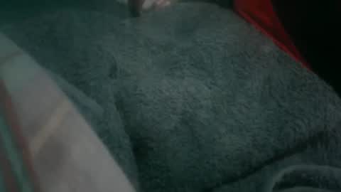 Soy Rai online show from 05-19-26, 01:56
