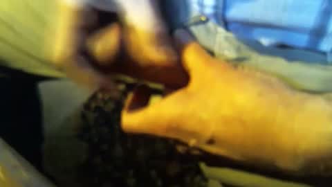 jt335577 online show from 01-27-25, 07:46