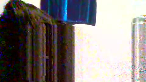 juicylatinabbw online show from 03-31-26, 12:56