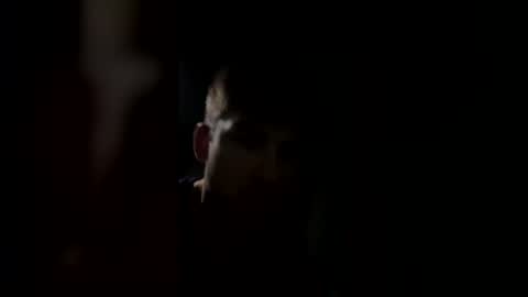 Snapshot of jul061007 chatting on 03-15-26, 11:33 jul061007 online show from 03-15-26, 11:33