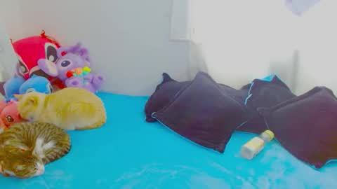 Snapshot of juli_69 chatting on 01-07-26, 06:32 Juliana Torres online show from 01-07-26, 06:32