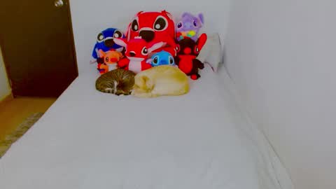 Snapshot of juli_69 chatting on 02-25-26, 08:29 Juliana Torres online show from 02-25-26, 08:29