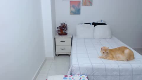 julia online show from 12-30-24, 07:11