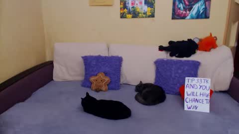 Jul online show from 11-04-25, 11:20