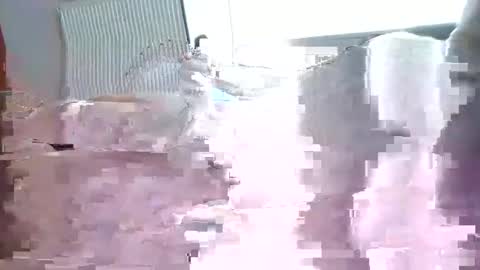 Snapshot of julien3327 chatting on 03-16-26, 08:07 julien3327 online show from 03-16-26, 08:07