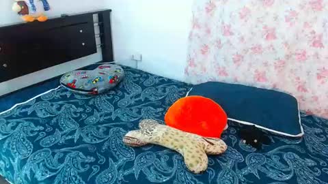 julieta art1 online show from 01-13-25, 11:49