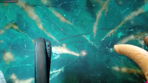    online show from 09-27-25, 04:50