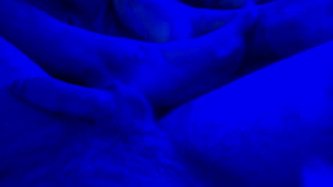 Yuri online show from 01-14-25, 07:59