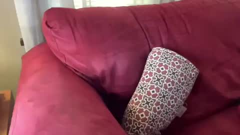 Flirty influncer online show from 03-01-25, 06:11