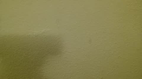 Just marlon online show from 03-03-25, 08:21