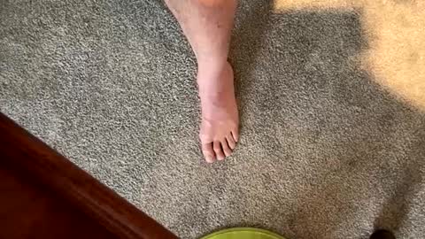 Snapshot of justanudedude chatting on 12-05-24, 01:38 justanudedude online show from 12-05-24, 01:38