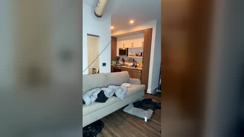 Snapshot of justindebondt202328563 chatting on 12-22-25, 10:56 justindebondt202328563 online show from 12-22-25, 10:56