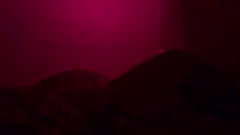 Snapshot of justsomenegus chatting on 12-26-24, 12:38 Call me Just online show from 12-26-24, 12:38