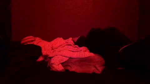 Snapshot of justsomenegus chatting on 03-08-25, 02:19 Call me Just online show from 03-08-25, 02:19