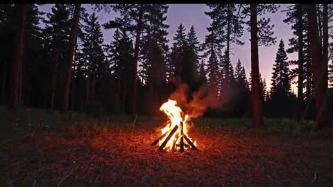 Kailee Smile online show from 01-09-26, 04:26