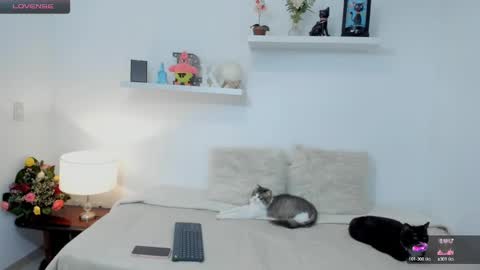 Snapshot of kailua_rose chatting on 02-23-25, 01:35 KailuaRose online show from 02-23-25, 01:35