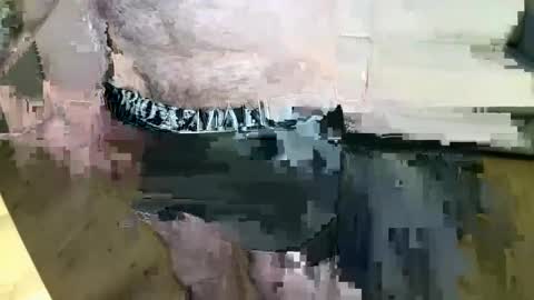 MusicMen49 online show from 12-22-24, 08:27